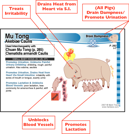 Sample of Mu Tong