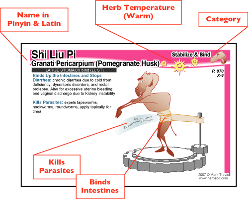 Sample of Shi Liu Pi